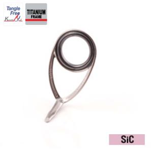 Fuji TKLSG guides